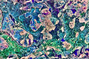 A 88B